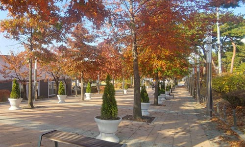 동탄센트럴파크